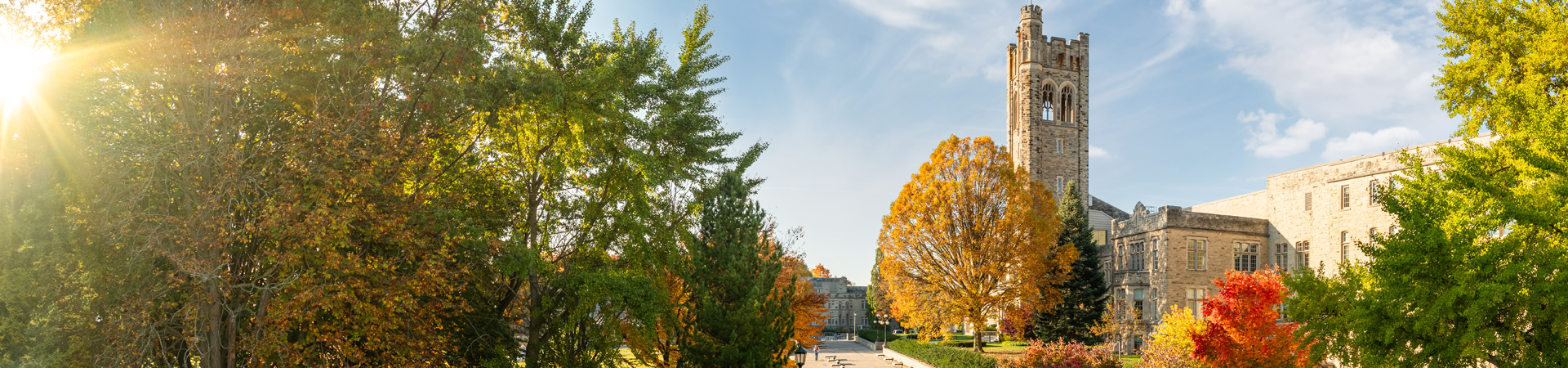 University College