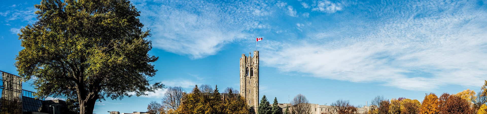 University College