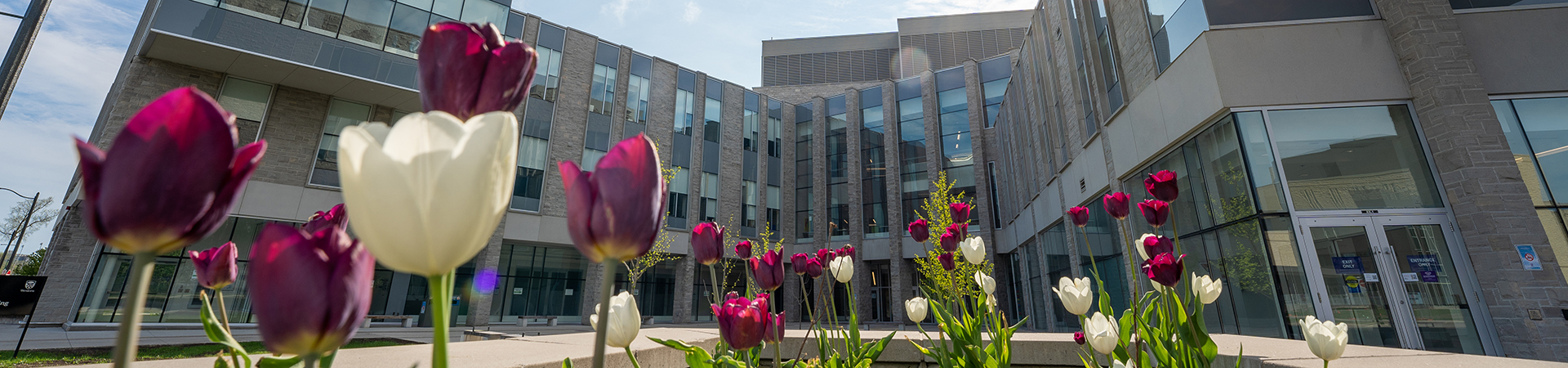 Information & Media Studies