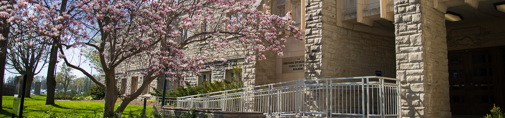 Faculty of Law
